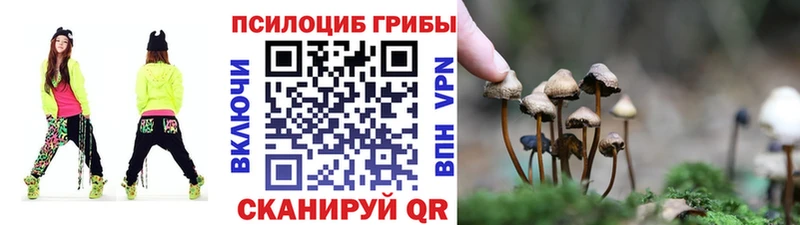 купить закладку  Мыски  Псилоцибиновые грибы GOLDEN TEACHER 