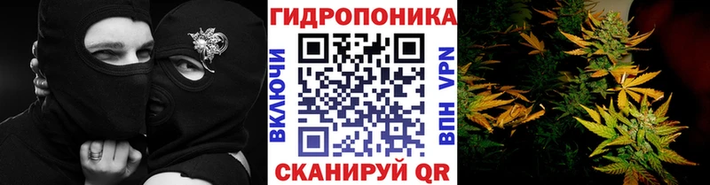 маркетплейс официальный сайт  Мыски  Каннабис White Widow  ОМГ ОМГ ССЫЛКА 